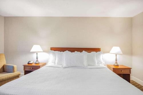 a hotel room with a large bed with two lamps at Natural Bridge Hotel, Trademark Collection by Wyndham in Natural Bridge