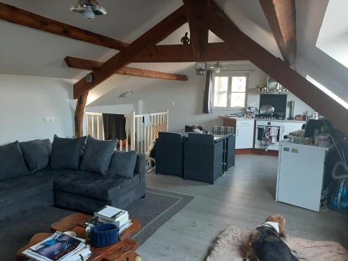 a living room with a couch and a dog in it at Naturellement Loire ! in Saint-Martin-de-la-Place