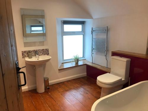 a bathroom with a toilet and a sink and a window at The Old Farmhouse at Mena in Bodmin