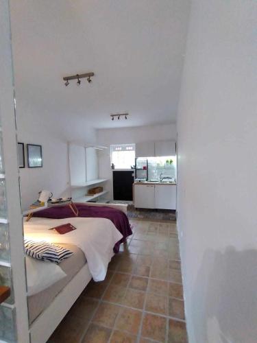Estudio Suites Cantera Auditorio
