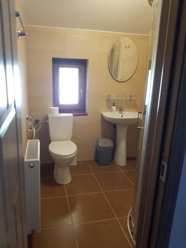 a bathroom with a toilet and a sink at Viata la Tara Cerna in Cerna