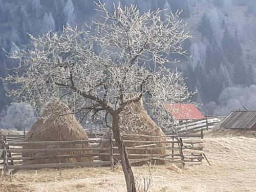 Φυσικό τοπίο κοντά σε αυτός ο ξενώνας