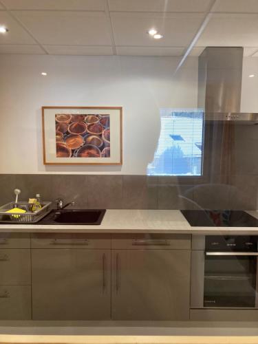 a kitchen with a sink and a counter top at Le Domaine des Fleurs - Appartement La Gentiane in Gérardmer