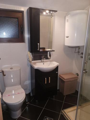 a bathroom with a white toilet and a sink at Apartments Jovanovic - Alkima in Kotor