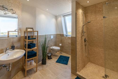a bathroom with a shower and a sink and a toilet at Privatweingut Schmidt in Heitersheim