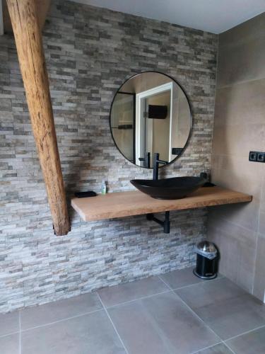 a bathroom with a sink and a mirror on a brick wall at Aekingahof in Appelscha