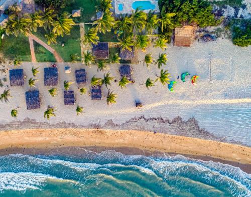 an overhead view of a beach with palm trees at Vila Itaqui in Luis Correia