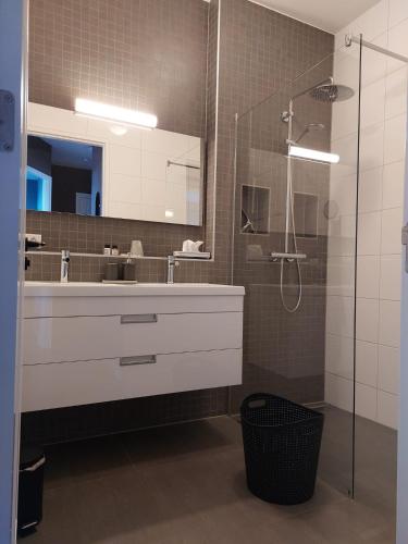 a bathroom with a sink and a shower with a mirror at The Ruyter apartment in Vlissingen