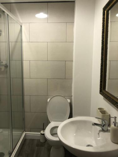 een badkamer met een toilet, een wastafel en een douche bij Frederick property Apartment in Birmingham
