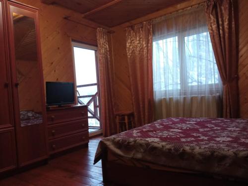a bedroom with a bed and a tv and a window at Sadyba Vyshenka in Tatariv