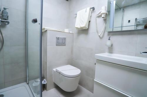 a bathroom with a toilet and a sink and a shower at U Schnellu in Prague