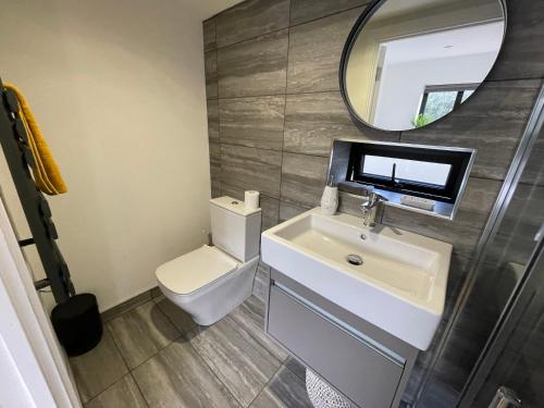 a bathroom with a sink and a toilet and a mirror at River guest house with jacuzzi fire and boat hire in Staines