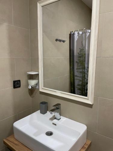Ein Badezimmer in der Unterkunft Studio apartman p13