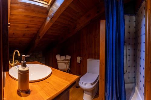 a bathroom with a sink and a toilet in a room at Casa El Molí de Bor a Cerdanya in Bor