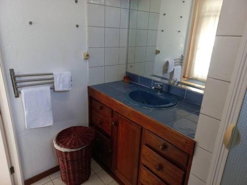 ein Bad mit einem Waschbecken und einem Spiegel in der Unterkunft Villa L'Oiseau Bleu in Pereybere