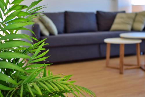 250m Playa/Beach, Wifi, A/A, Smart TV, Parking