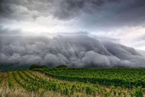 una nube de tormenta sobre un campo con un viñedo en ático, en Laguardia