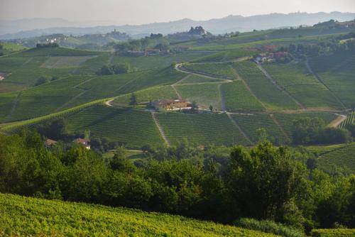 a view of a vineyard in the hills at Costa di Bussia in Monforte dʼAlba