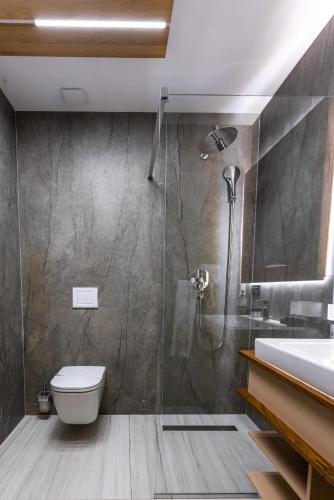 a bathroom with a shower and a toilet and a sink at Hotel Ivascu in Moisei