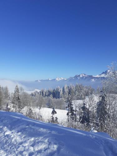 a snow covered field with trees and mountains in the background at CHARMANT APPARTEMENT à 150 M des THERMES et du CENTRE VILLE in Thonon-les-Bains