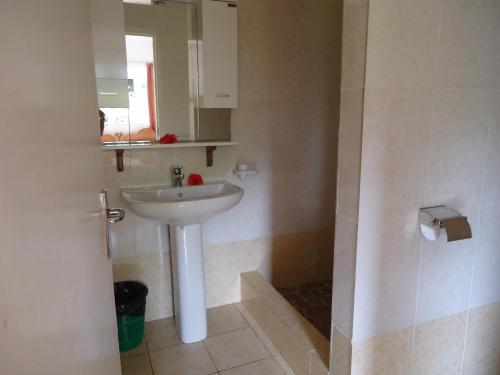 a small bathroom with a sink and a mirror at Chez Michellin Pensions Residence in La Digue