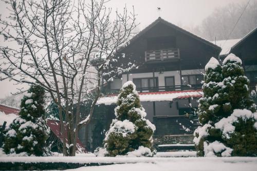 a house with snow covered trees in front of it at Hanul Vanatorului in Gureni