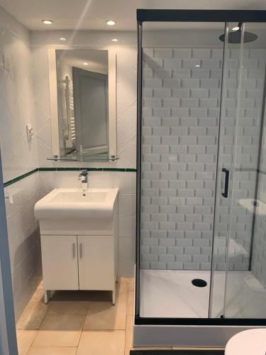 a bathroom with a sink and a glass shower at L'Aparté - Studio le Bleu Azur in Pignans