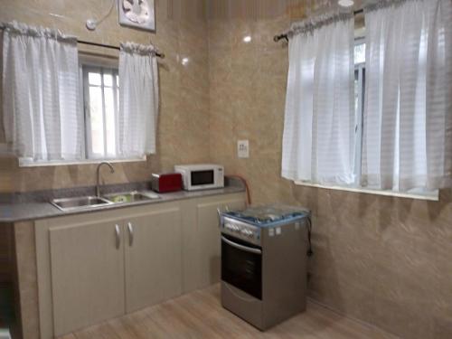 uma pequena cozinha com um lavatório e um micro-ondas em E - Glisters Home em Warri