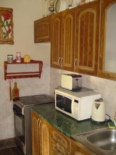 a kitchen with a counter with a microwave and a sink at Hunter in Štúrovo