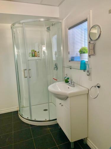 a bathroom with a shower and a sink at Domaine Gagnon in Saint Sebastien