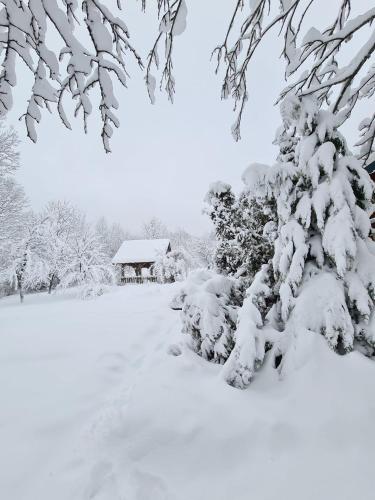 a snow covered tree with a house in the background at House Poljana in Plitvička Jezera