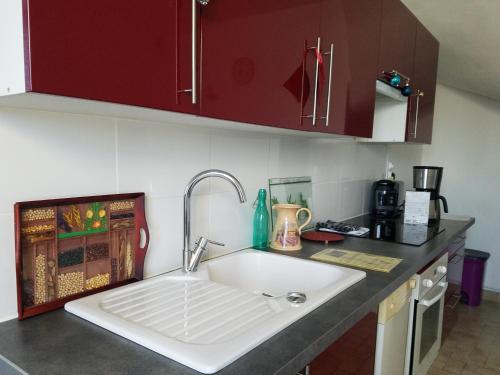 - une cuisine avec un évier blanc et des placards rouges dans l'établissement La clef des champs - Gîte 9 personnes entre Lyon et St-Etienne, à Les Halles