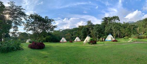 a group of tents in a field with trees at Bosque de Aventura & Glamping El Faro in La Mesa