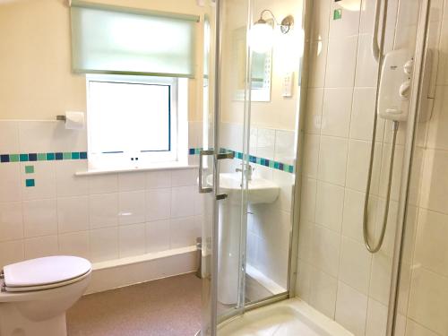 a bathroom with a shower and a toilet and a sink at The Priory in Scorton