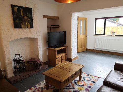 a living room with a tv and a fireplace at Bowkett Cottage in Cinderford