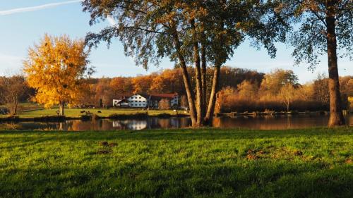 a park with a lake and a house and trees at Landgasthof Rotlipp Gästezimmer in Ortenberg