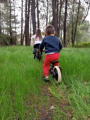 two children riding on toy bikes in the grass at Refugio Silvestre Parque Nacional Siete Tazas-Salida a río y pesca in El Bolsico