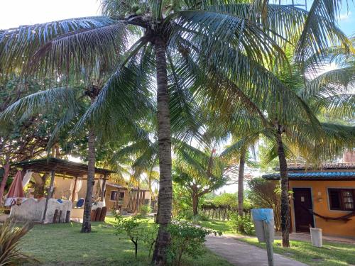 a palm tree in front of a house at Hotel Enseada Maracajaú in Maracajaú