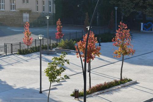 a group of trees with red leaves in a courtyard at Elan Luxury Apartments & Rooms in Plav