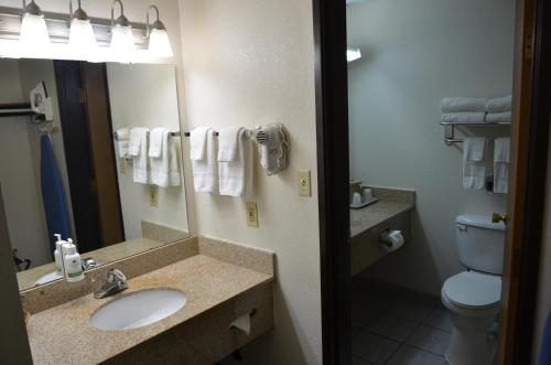 a bathroom with a sink and a toilet and a mirror at Bearcat Inn and Suites in Maryville