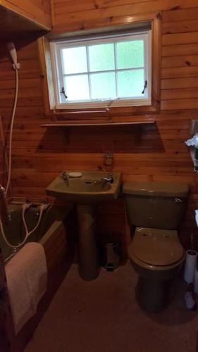 a bathroom with a toilet and a sink and a window at Pine Cabin, Strathyre. A cosy escape from it all. in Strathyre