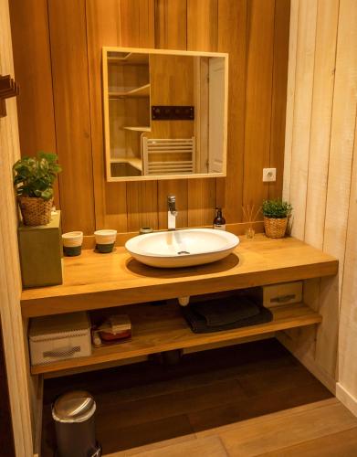 La salle de bains est pourvue d'un lavabo et d'un four micro-ondes. dans l'établissement EVASION BASSIN La Villa Albatros, à Lège