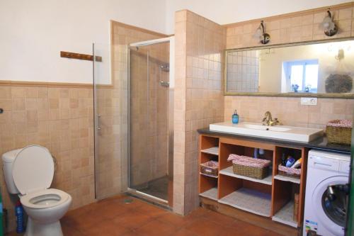a bathroom with a shower and a toilet and a sink at Finca Mariola - Centenaria in Las Palmas de Gran Canaria