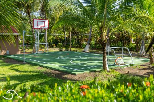 a basketball hoop in a park with a palm tree at Tranquilidad Resort in Parrita