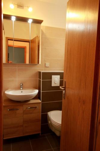 a bathroom with a sink and a toilet and a mirror at Th 625 Panoramic Hohegeiß in Braunlage