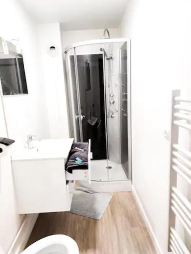 une salle de bain avec une douche, un lavabo et des toilettes dans l'établissement Le petit nid du Mont Saint Michel, à Pontorson