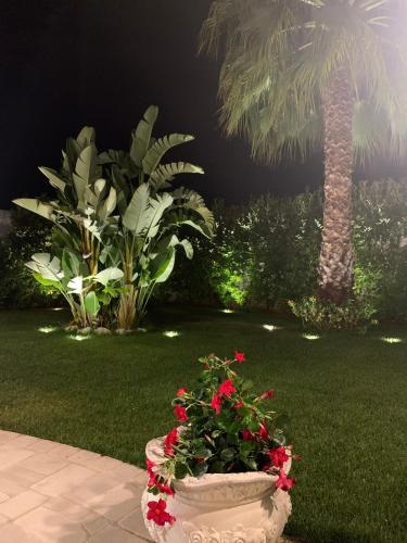 a large planter with red flowers and a palm tree at B&B Palma Salentina in Lizzano