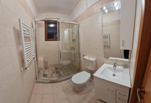a bathroom with a shower and a toilet and a sink at apartament BEST VIEW in Buşteni