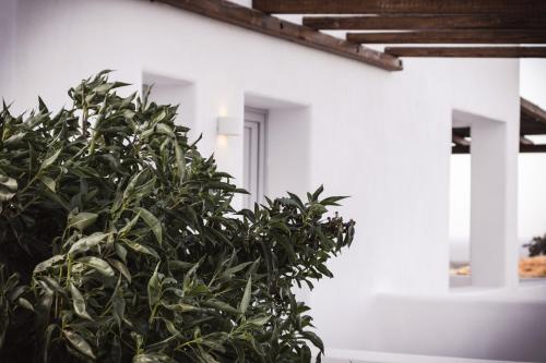 Bianco Diverso Suitesにある庭