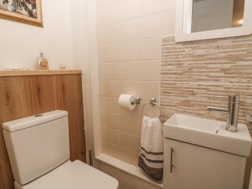 a bathroom with a toilet and a sink at 9 Manorcombe Bungalows in Callington